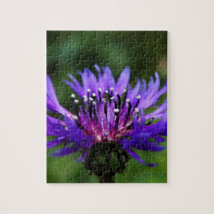 Blue Cornflower Flower Blossoms Peace Love Destiny Jigsaw Puzzle