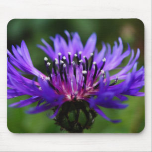 Blue Cornflower Flower Blossoms Peace Love Destiny Mouse Pad