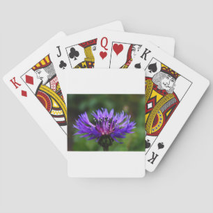 Blue Cornflower Flower Blossoms Peace Love Destiny Playing Cards