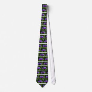 Blue Cornflower Flower Blossoms Peace Love Destiny Tie