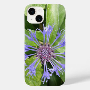 Blue Cornflower iPhone 5 Case
