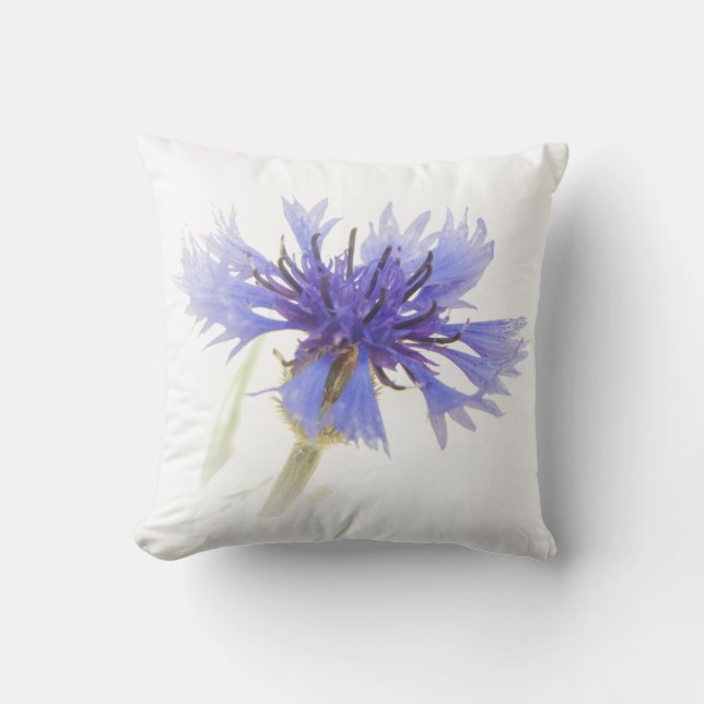 Blue Cornflower Photo - Cushion (Front)