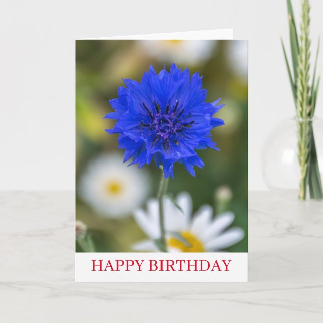 Blue cornflower up close birthday card (Front)