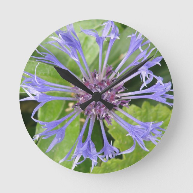 Blue Cornflower Wall Clock (Front)