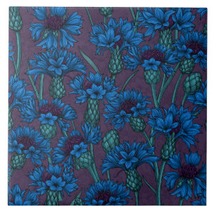 Blue cornflowers, wild flowers ceramic tile