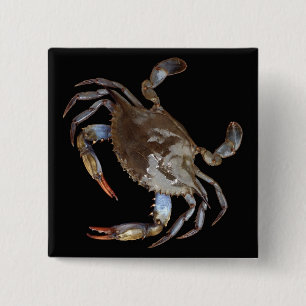 Blue Crab 15 Cm Square Badge