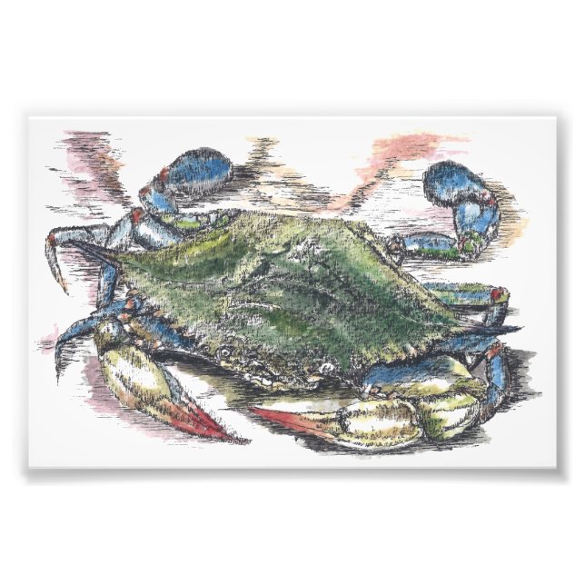 Blue Crab Art Photo Print (Front)