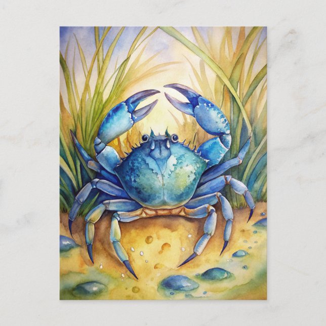 Blue Crab Coastal Beach Ocean Life Painting  Postcard (Front)