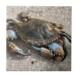 Blue Crab Crawling Ceramic Tile