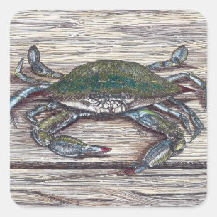 Blue Crab on Dock Square Stickers