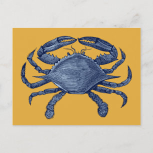 Blue crab postcard