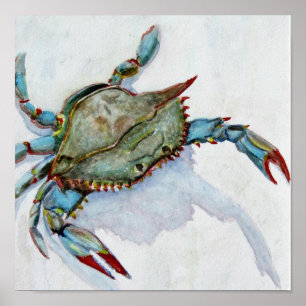 Blue Crab Poster