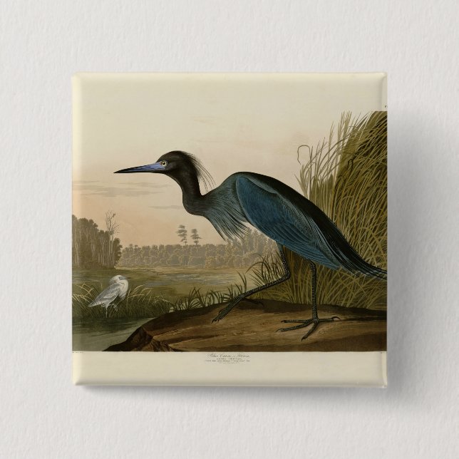 Blue Crane Heron Audubon Painting 15 Cm Square Badge (Front)