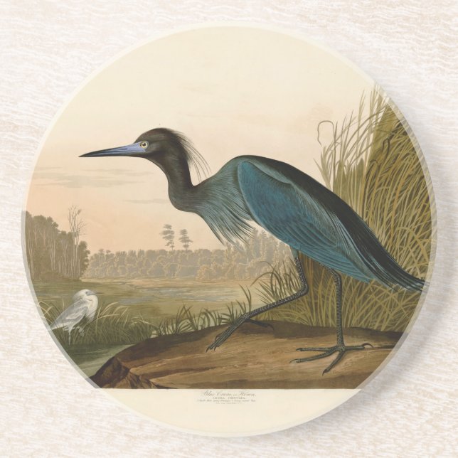 Blue Crane Heron Audubon Painting Coaster (Front)