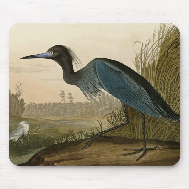 Blue Crane Heron Audubon Painting Mouse Pad (Front)