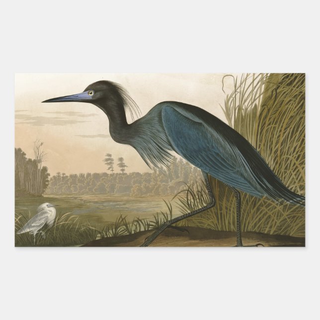 Blue Crane Heron Audubon Painting Rectangular Sticker (Front)