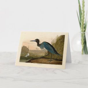 Blue Crane Heron Audubon Print Coastal Art Card