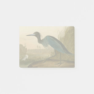 Blue Crane Heron Audubon Print Coastal Art Post-it Notes