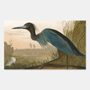 Blue Crane Heron Audubon Print Coastal Art Rectangular Sticker