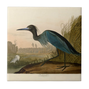 Blue Crane Heron Audubon Print Coastal Art Tile