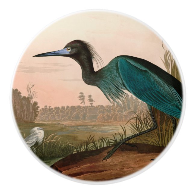 Blue Crane or Heron Birds of America Audubon Print Ceramic Knob (Front)