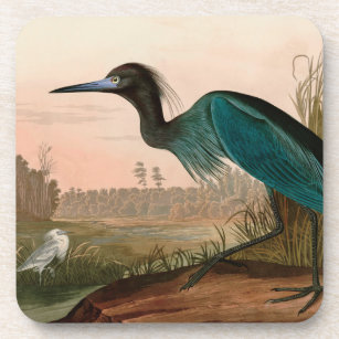 Blue Crane or Heron Birds of America Audubon Print Coaster