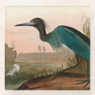 Blue Crane or Heron Birds of America Audubon Print Glass Coaster