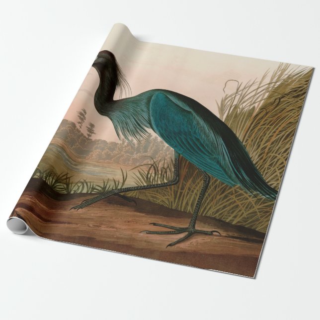 Blue Crane or Heron Birds of America Audubon Print Wrapping Paper (Unrolled)