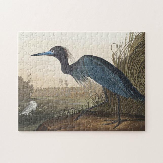 Blue Crane or Heron from Birds of America Jigsaw Puzzle (Horizontal)