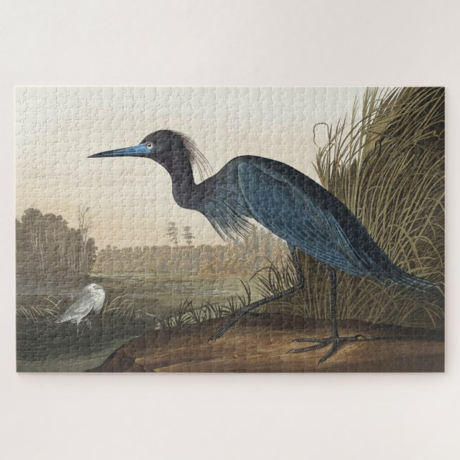 Blue Crane or Heron from Birds of America Jigsaw Puzzle (Horizontal)