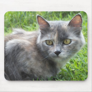 Blue Cream -Tortie Kitty Mouse Pad