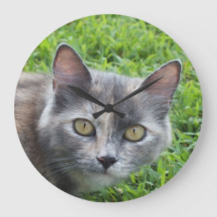 Blue Cream -Tortie Kitty Wall Clock