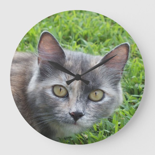 Blue Cream -Tortie Kitty Wall Clock (Front)