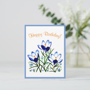 Blue Crocuses in Spring Postcard
