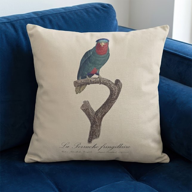 Blue-Crowned Lorikeet, Vini Australis Cushion (Blue-Crowned Lorikeet, Vini Australis. Throw Pillow)