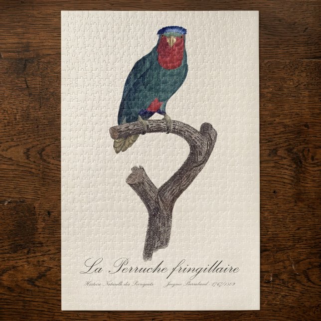 Blue-Crowned Lorikeet, Vini Australis Jigsaw Puzzle (Blue-Crowned Lorikeet, Vini Australis. Jigsaw Puzzle)
