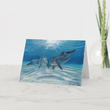 Blue Crush Dolphins Greeting Card