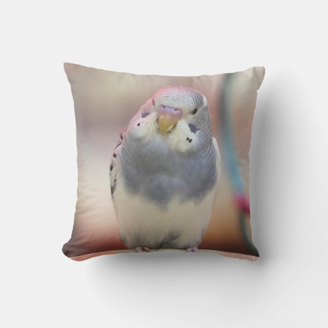 Blue Cushion (Front)