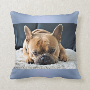 Blue Cute French Bulldog Cushion pillow