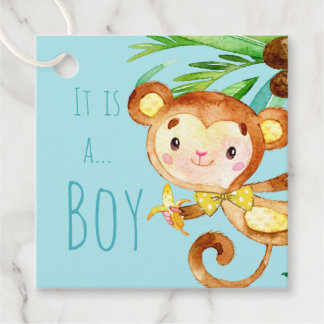 Blue Cute Monkey Baby Boy Announcement 2 Favour Tags