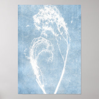 Blue Cyanotype Plant Heart Poster