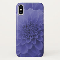 Blue Dahlia