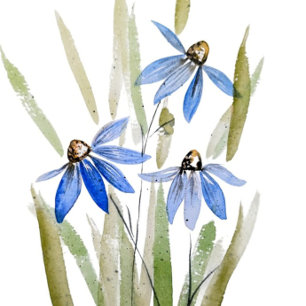 Blue Daisies Sandstone Coaster