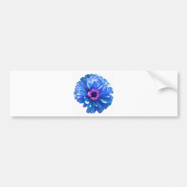 Blue daisy blue floral photo bumper sticker (Front)