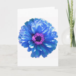 Blue daisy blue floral photo card