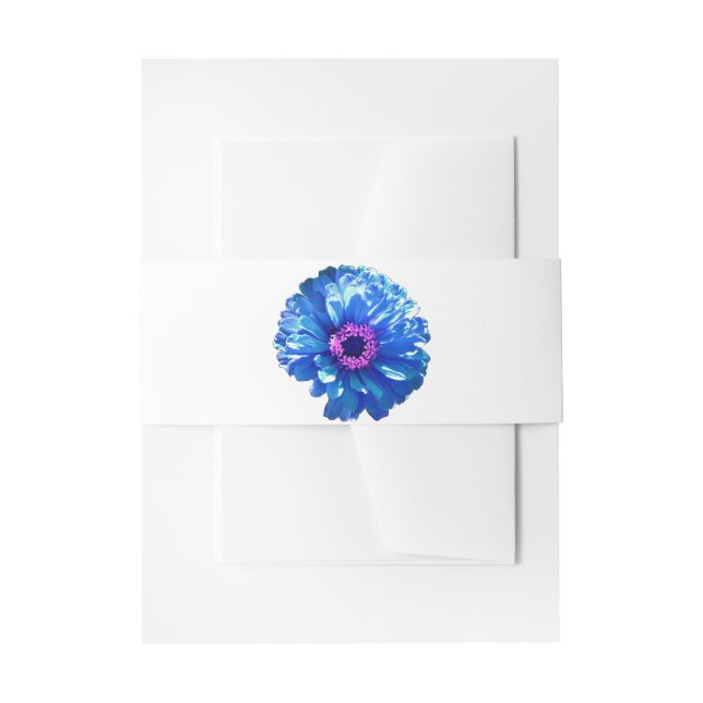 Blue daisy blue floral photo invitation belly band (Front Example)