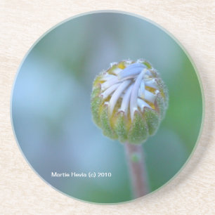 Blue Daisy Bud - Coaster