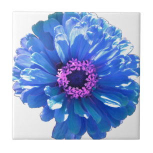 Blue Daisy Ceramic Tile