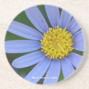 Blue Daisy - Coaster