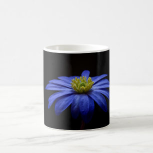 Blue Daisy Gerbera Flower on a Black background Coffee Mug
